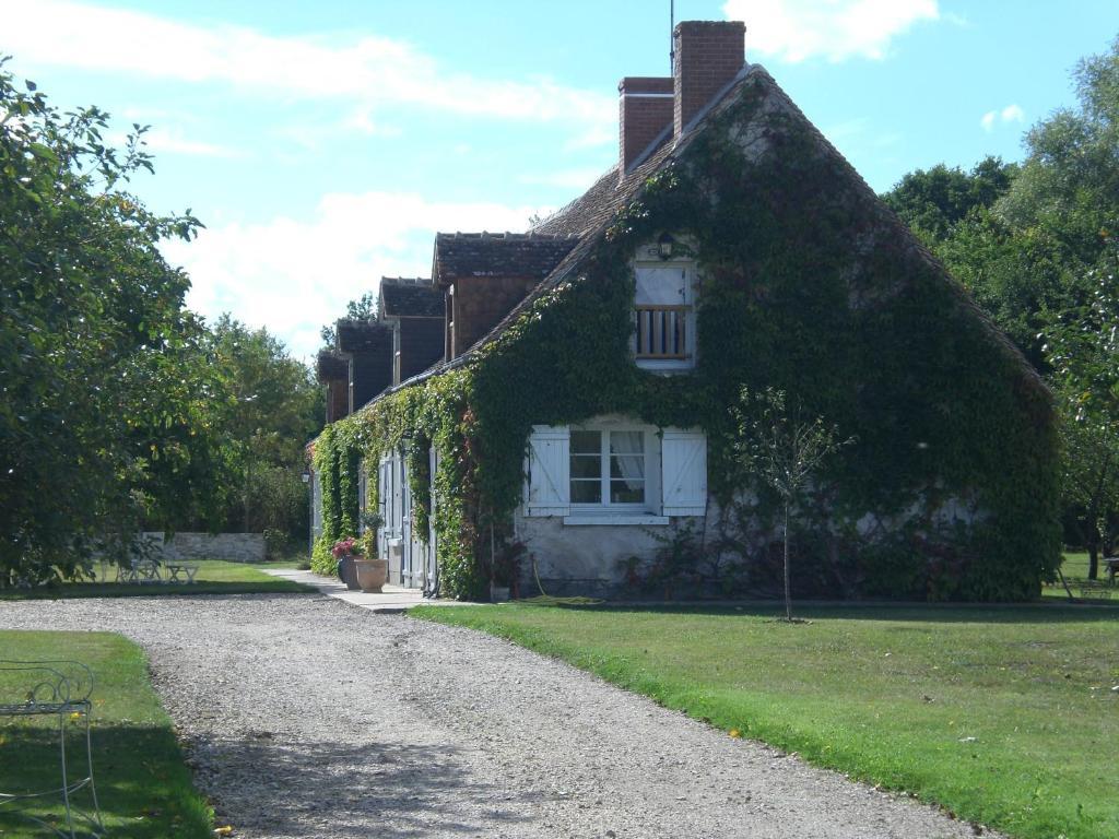 La Touche Bed & Breakfast Menetou-sur-Nahon Dış mekan fotoğraf